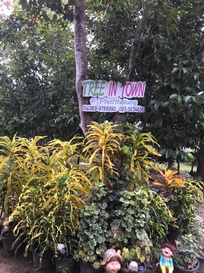 Tree In Town ทรีอินทาวน์ Villa Phatthalung Eksteriør bilde